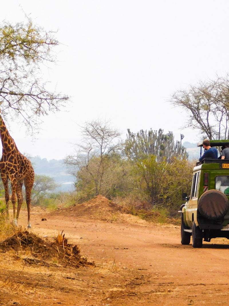Akagera National Park