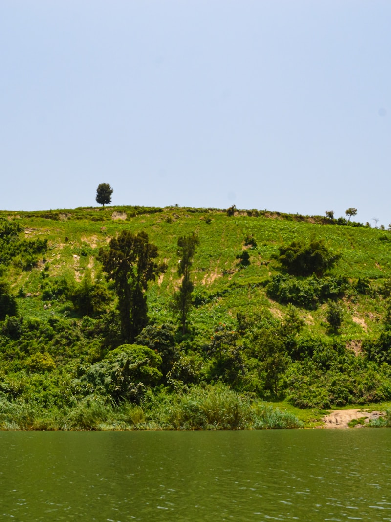 Hill island on Lake Kivu