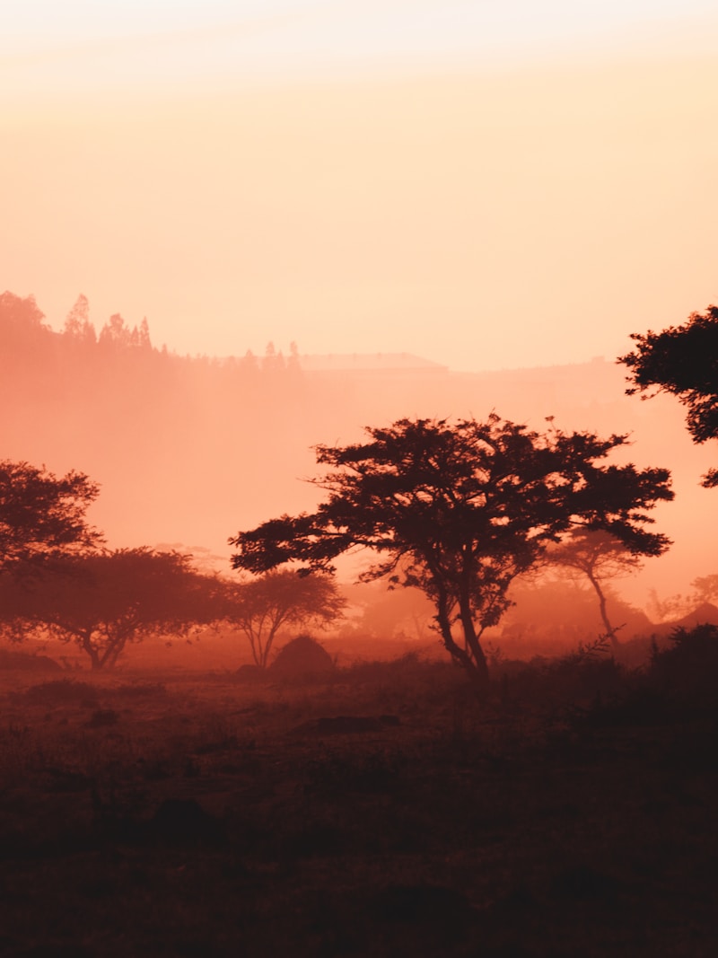 Kigali landscape Rwanda