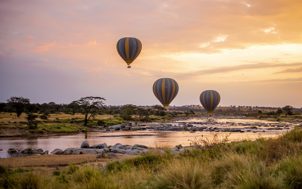 Serengeti wildlife landscape
