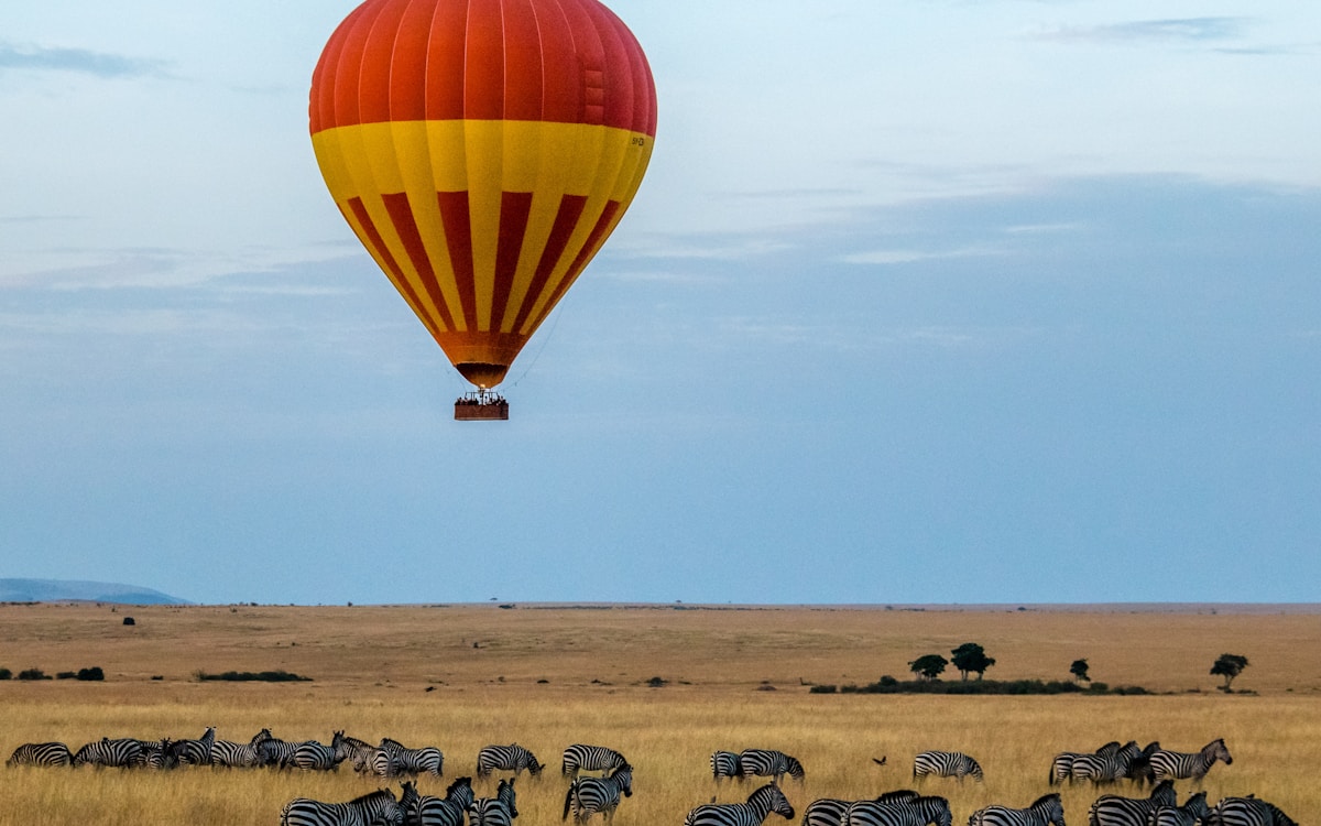 Masai Mara wildlife at sunrise