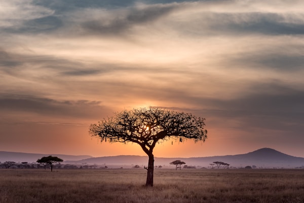 Rwanda (Neighbours)